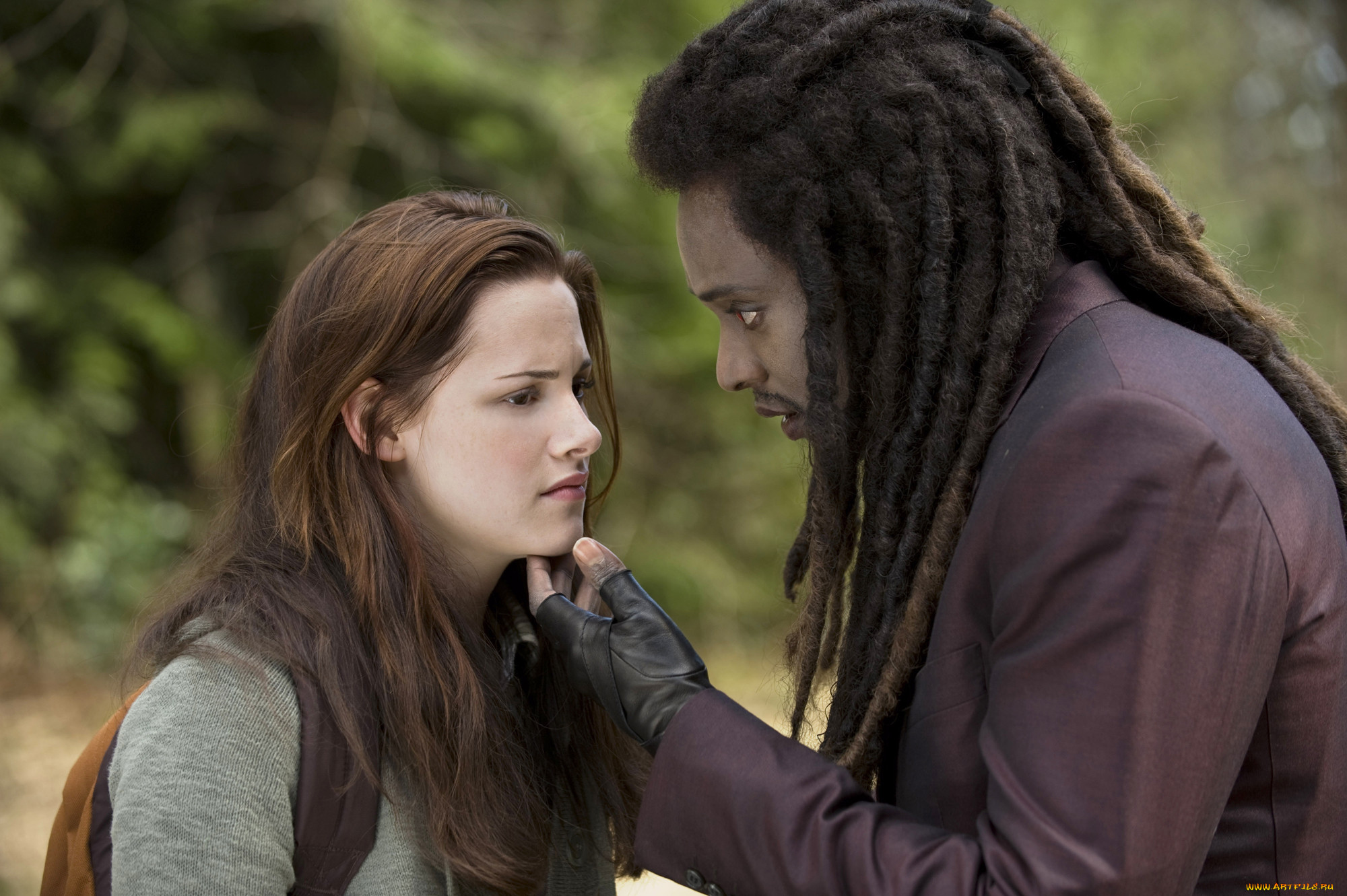 new, moon, twilight, , , the, saga